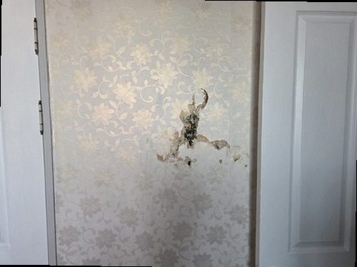 대덕구 전화 연결 대덕구 전화 연결