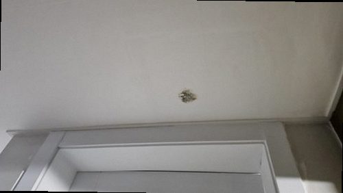 대전 중구 누수탐지 중촌동 빌라 4층 현관 바닥 시공 후기 사진
