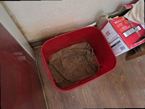 대전 중구 범위 좁히기 대전 중구 범위 좁히기