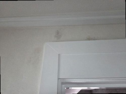 대전 서구 누수탐지 도안동 아파트 14층 작은방 바닥 시공 후기 사진