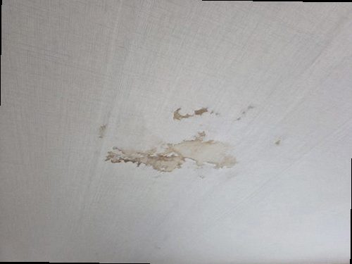 대전 중구 누수탐지 산성동 빌라 반지하 세탁실 시공 후기 사진