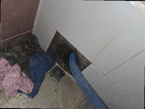 누수탐지 수정동 누수탐지 신속 점검 아파트 벽면 얼룩 원인