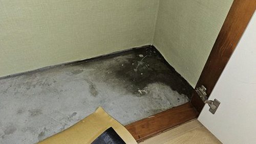 누수탐지 금곡동 누수탐지 아파트 거실 천장 물맺힘 당일 확인 과정