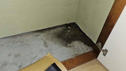 누수탐지 동이면 누수탐지 거실천장얼룩 직접 해보니 달랐던 점