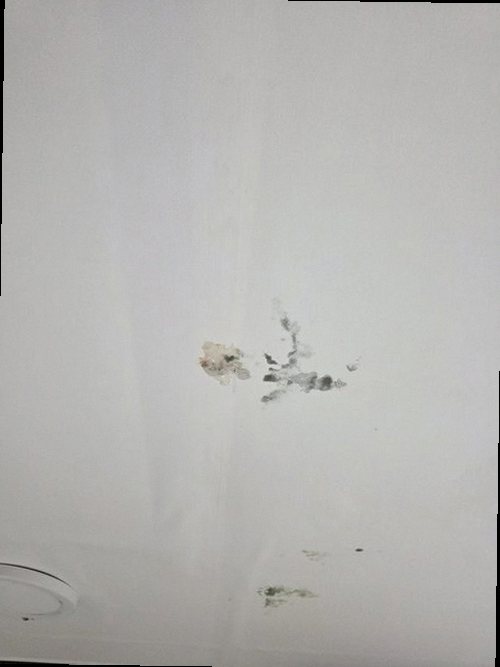 부여군 현장 확인