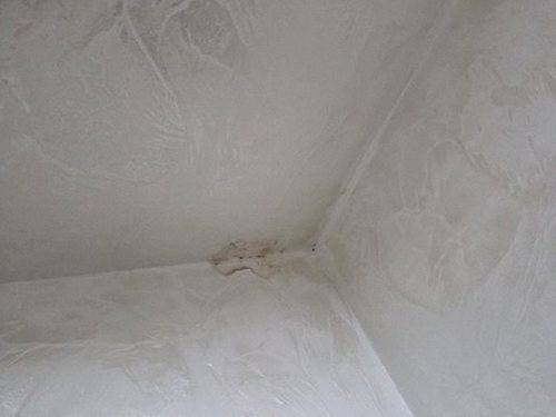누수탐지 은산면 누수탐지 아랫집벽지얼룩 가설을 하나씩 검증해 보니