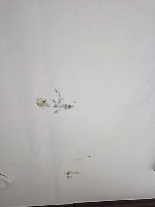누수탐지 둔산동 누수탐지 안방 얼룩 증상별로 미리 확인할 항목