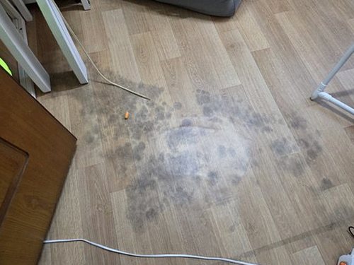유성구 누수탐지 계산동 아파트 3층 거실 벽 하단 시공 후기 사진