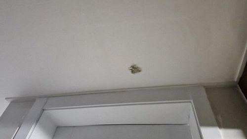 누수탐지 아래층 천장에 생긴 누수 얼룩과 배관 주변 점검 장면