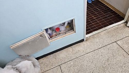누수탐지 벽지 가장자리에 번진 얼룩 점검 장면