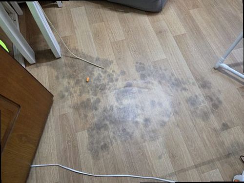청주시 상당구 함께 확인 청주시 상당구 함께 확인
