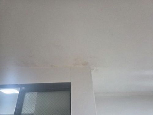 누수탐지 천장 모서리에 번진 갈색 얼룩 점검 장면