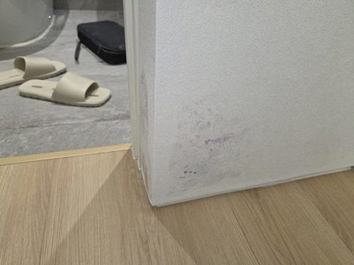 누수탐지 갈마동 누수탐지 당일 출동으로 아파트 천장 얼룩 원인 찾기
