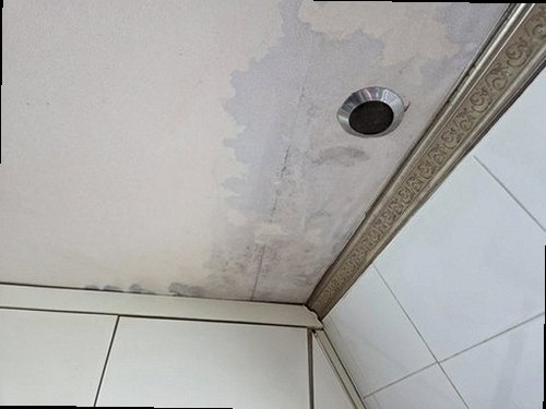 병점구 누수탐지 병점동 상가 1층 세탁실 시공 후기 사진