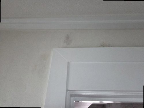 미세누수 정밀탐지 병점구 누수탐지 미세누수 정밀탐지