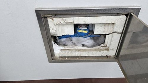 누수탐지 모라동 누수탐지 아파트 아래층 누수 원인 비교 분석