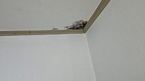 누수탐지 용운동 누수탐지 바닥누수물난리 어떻게 확인할까