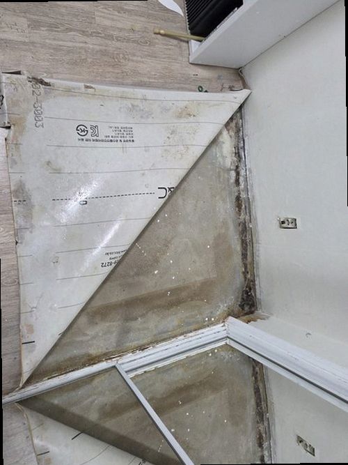 누수탐지 대사동 누수탐지 베란다누수해결 원인 확인부터 마무리까지