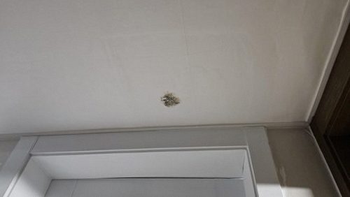 누수탐지 금사회동동 누수탐지 아파트 안방 도배 얼룩 원인 3가지