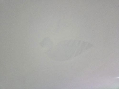 누수탐지 천장 얼룩 부위 측정 장면