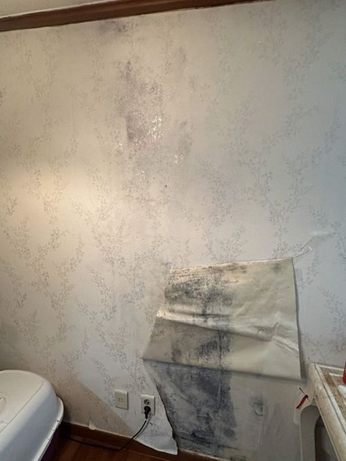누수탐지 욕실 천장 누수 흔적을 확인하는 점검 장면