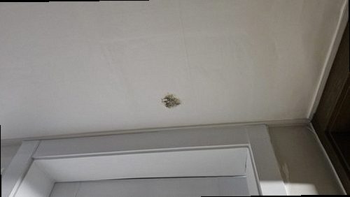 해운대구 전화 연결 해운대구 전화 연결