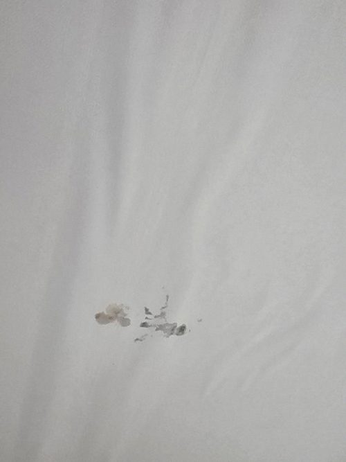 누수탐지 내산면 누수탐지 아파트 거실 천장 얼룩 원인 5가지 정리