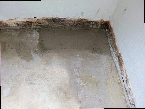청주시 청원구 누수탐지 벽면 얼룩과 바닥 습기를 확인하는 누수 점검 현장