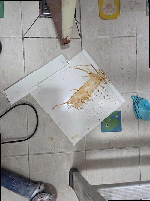 누수탐지 가양동 누수탐지 아파트 윗집 누수란 무엇인지 기본부터 정리