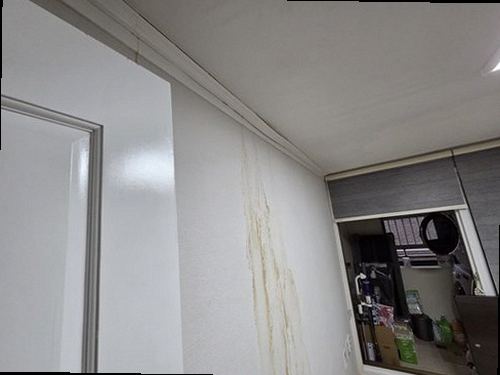 미세누수 정밀탐지 대전 서구 누수탐지 미세누수 정밀탐지