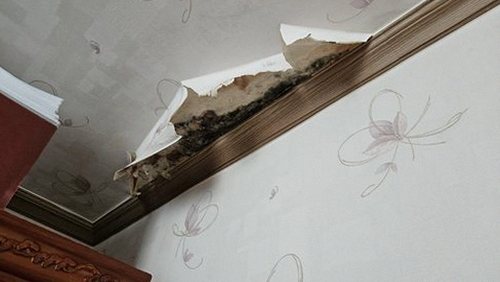 누수탐지 신성동 누수탐지 당일 점검으로 아파트 천장 얼룩 잡기