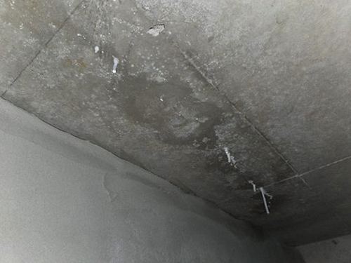 누수탐지 수민동 누수탐지 벽면 곰팡이가 번질 때 살펴볼 순서