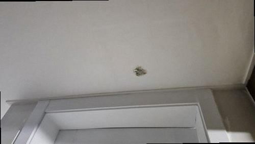부산 남구 누수탐지 문현동 오피스텔 5층 세탁실 바닥 시공 후기 사진