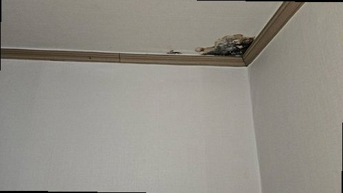 수영구 누수탐지 민락동 상가 2층 천장 시공 후기 사진