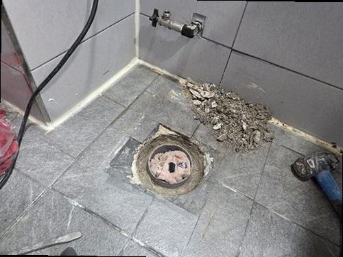청주시 서원구 누수탐지 사직동 아파트 6층 욕실 벽 안쪽 시공 후기 사진