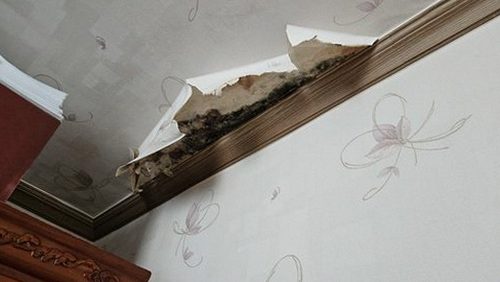 누수탐지 오근장동 누수탐지 벽면습기얼룩 놓치기 쉬운 신호