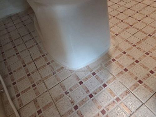 누수탐지 동자동 누수탐지 아파트 욕실 바닥 물자국 직접 확인해 보니