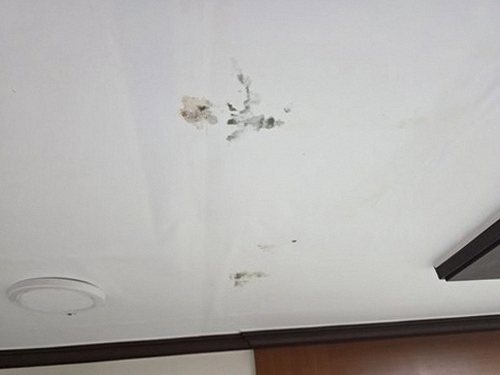 누수탐지 아름동 누수탐지란 무엇인가 아파트 아래층 천장 물샘 기초