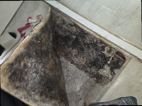 세종시 전화 연결 세종시 전화 연결