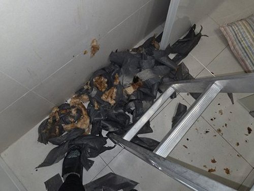 세종시 누수탐지 해밀동 아파트 7층 거실 바닥 시공 후기 사진