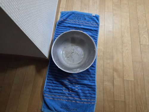 누수탐지 나성동 누수탐지 빌라거실누수공사 원인 3가지 검증 순서