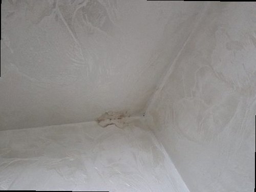 세종시 누수탐지 해밀동 아파트 3층 복도 천장 시공 후기 사진
