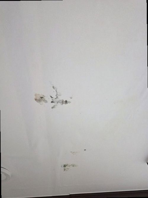 세종시 현장 확인