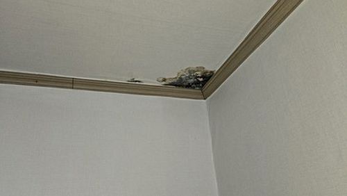 누수탐지 나성동 누수탐지 벽지누수공사 전 점검할 항목 정리