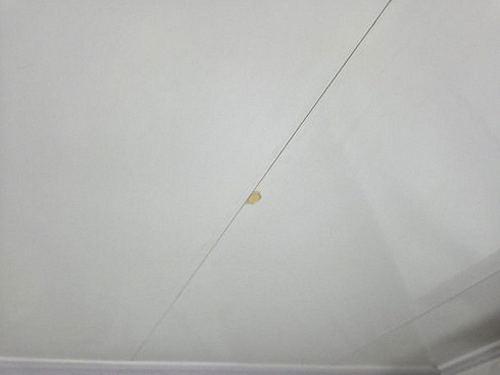 세종시 누수탐지 연기면 단독주택 마당 수도관 시공 후기 사진