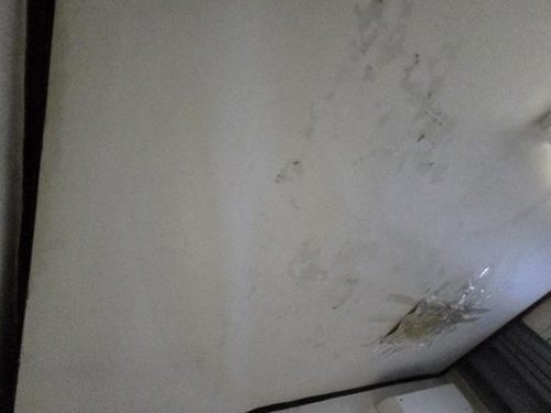 누수탐지 배관 점검 장비로 의심 지점을 확인하는 과정