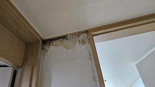 권선구 완료 점검 권선구 완료 점검