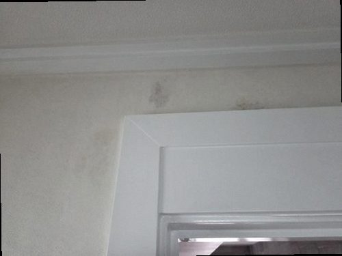 권선구 누수탐지 권선동 오피스텔 7층 현관 벽면 시공 후기 사진