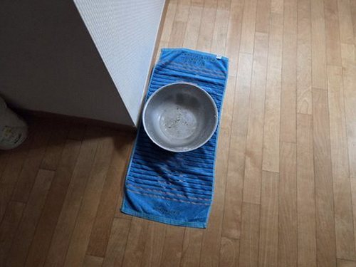 누수탐지 신동 누수탐지 빌라누수해결 방치하면 벽면 피해가 커집니다