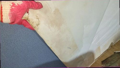 누수탐지 선부3동 누수탐지 주택누수업체비용 누수 징후와 점검의 기본